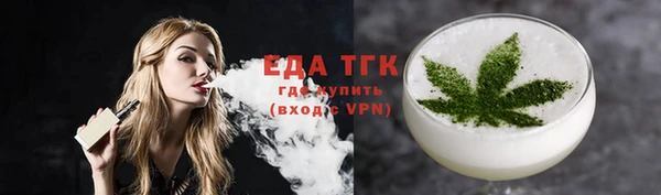 индика Приозерск