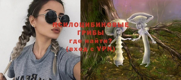 спайс Пролетарск